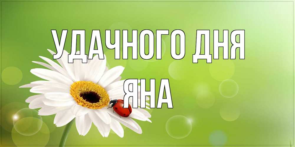 Открытка на каждый день с именем, Яна Удачного дня зеленый фон и ромашка Прикольная открытка с пожеланием онлайн скачать бесплатно 