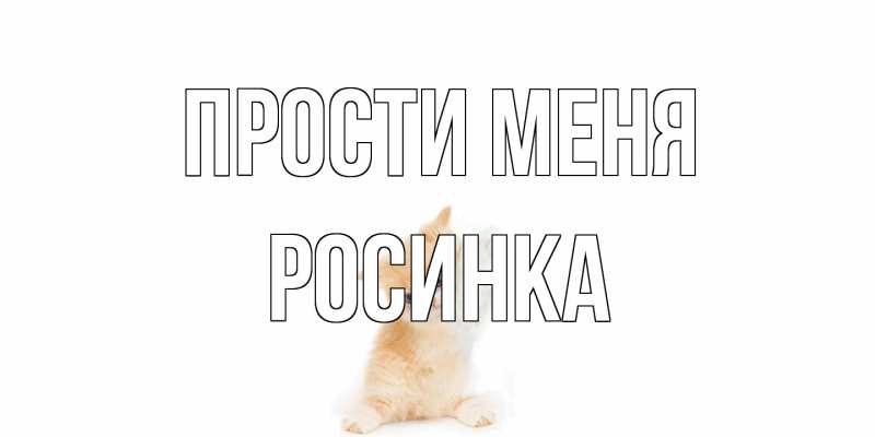 Картинка Прости меня, Росинка