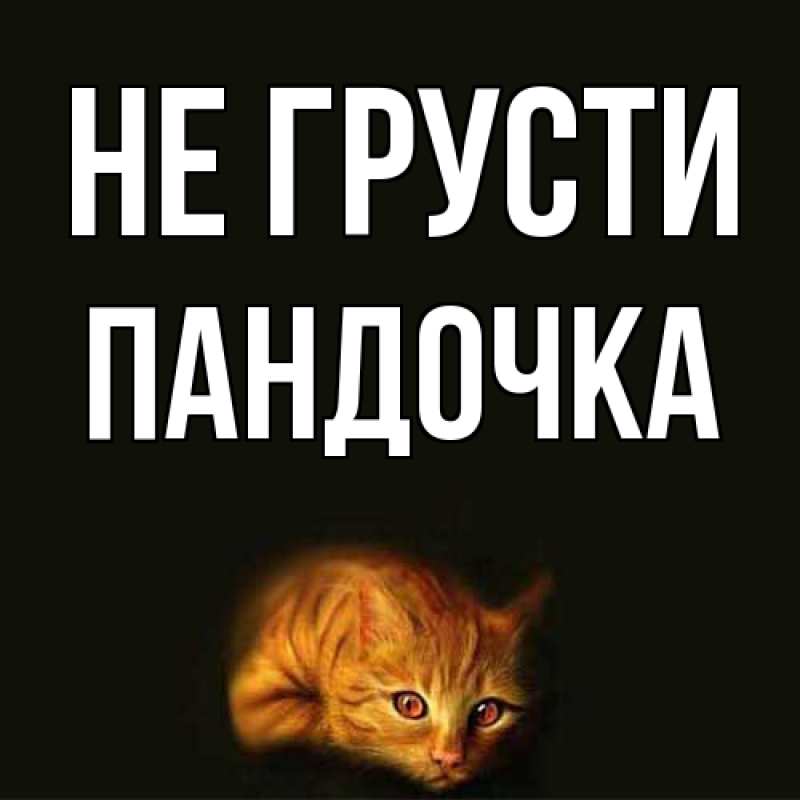 Картинка Не грусти, пандочка