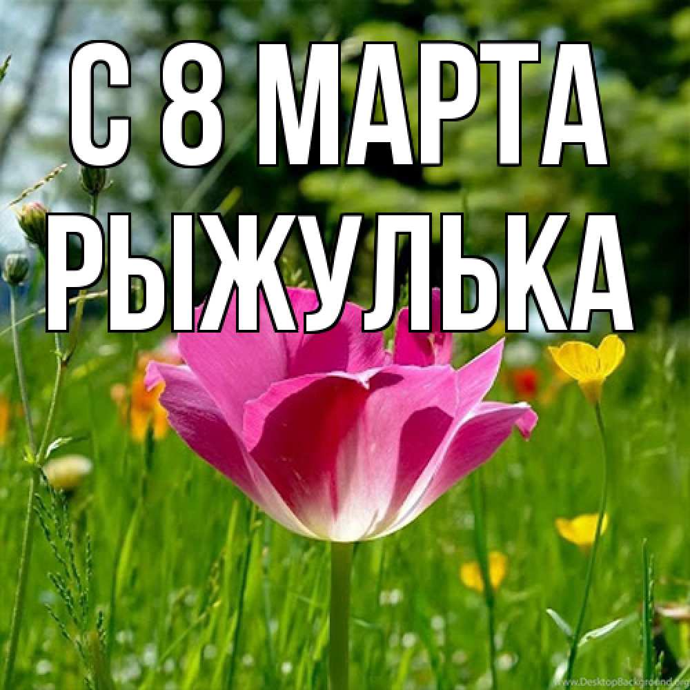 Открытка на каждый день с именем, рыжулька C 8 МАРТА полевые цветы Прикольная открытка с пожеланием онлайн скачать бесплатно 