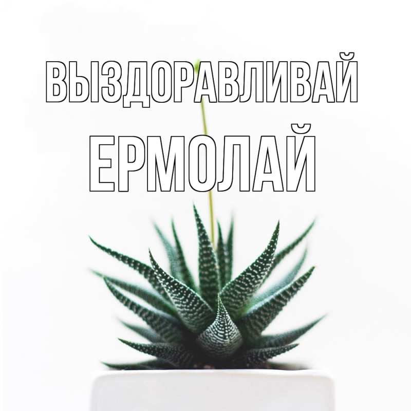 Картинка Выздоравливай, Ермолай