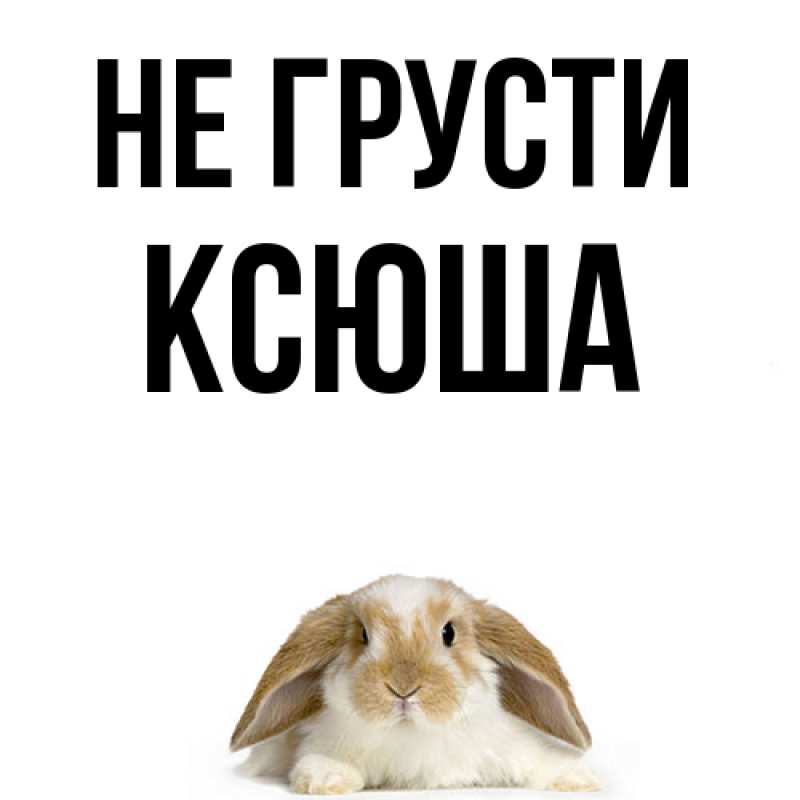 Картинка Не грусти, Ксюша