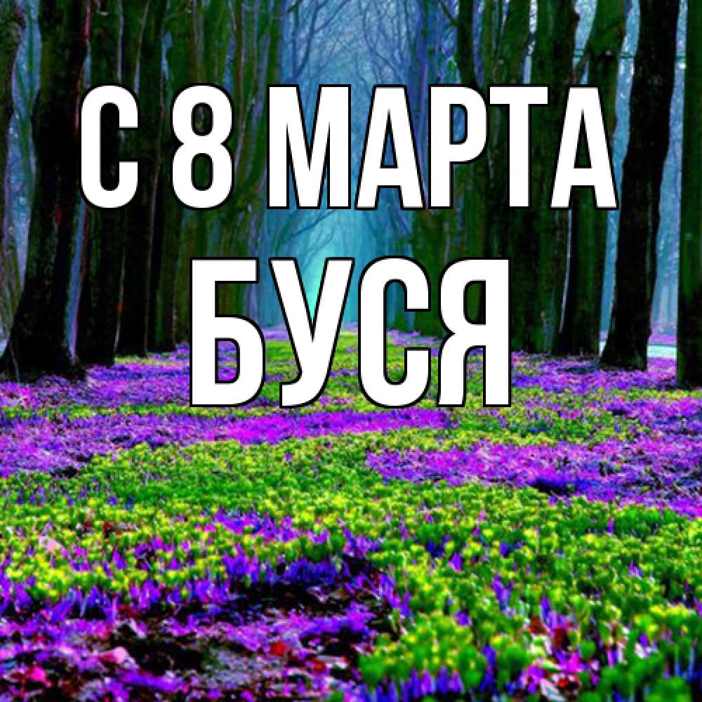 Открытка на каждый день с именем, Буся C 8 МАРТА фиолетовые цветы в лесу 1 Прикольная открытка с пожеланием онлайн скачать бесплатно 