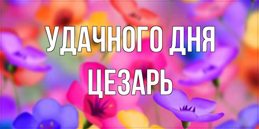 Открытка на каждый день с именем, Цезарь Удачного дня открытка повышающая настроение Прикольная открытка с пожеланием онлайн скачать бесплатно 