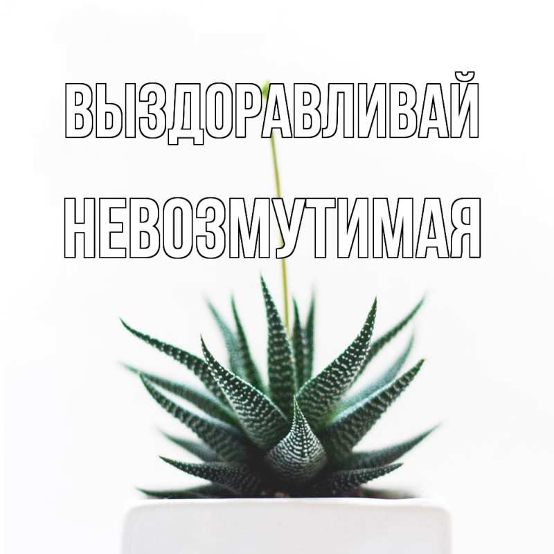 Картинка Выздоравливай, Невозмутимая