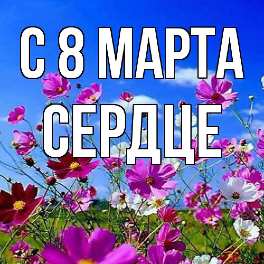 Открытка на каждый день с именем, сердце C 8 МАРТА цветы Прикольная открытка с пожеланием онлайн скачать бесплатно 