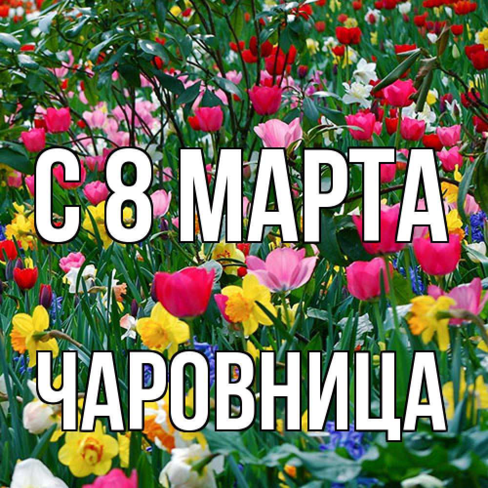 Открытка на каждый день с именем, чаровница C 8 МАРТА с международным женским днем поздравления для женщины Прикольная открытка с пожеланием онлайн скачать бесплатно 