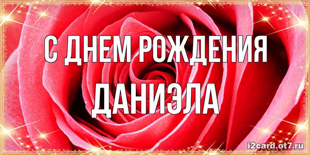 Открытка на каждый день с именем, Даниэла С днем рождения розовая роза очень крупный бутон Прикольная открытка с пожеланием онлайн скачать бесплатно 