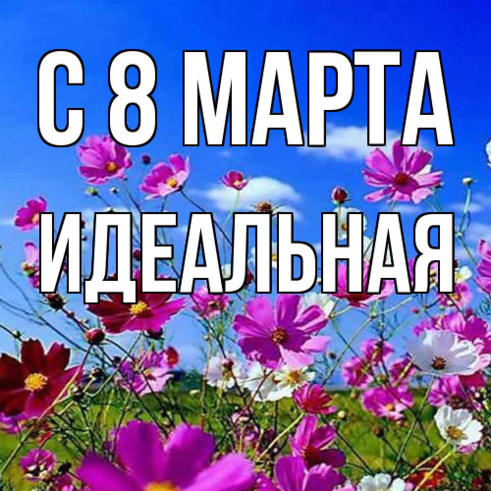 Открытка на каждый день с именем, идеальная C 8 МАРТА цветы Прикольная открытка с пожеланием онлайн скачать бесплатно 