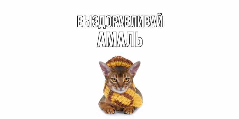 Картинка Выздоравливай, Амаль