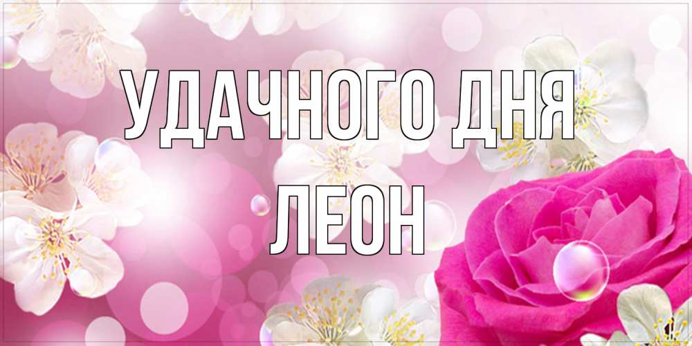 Открытка на каждый день с именем, Леон Удачного дня красивые цветы Прикольная открытка с пожеланием онлайн скачать бесплатно 