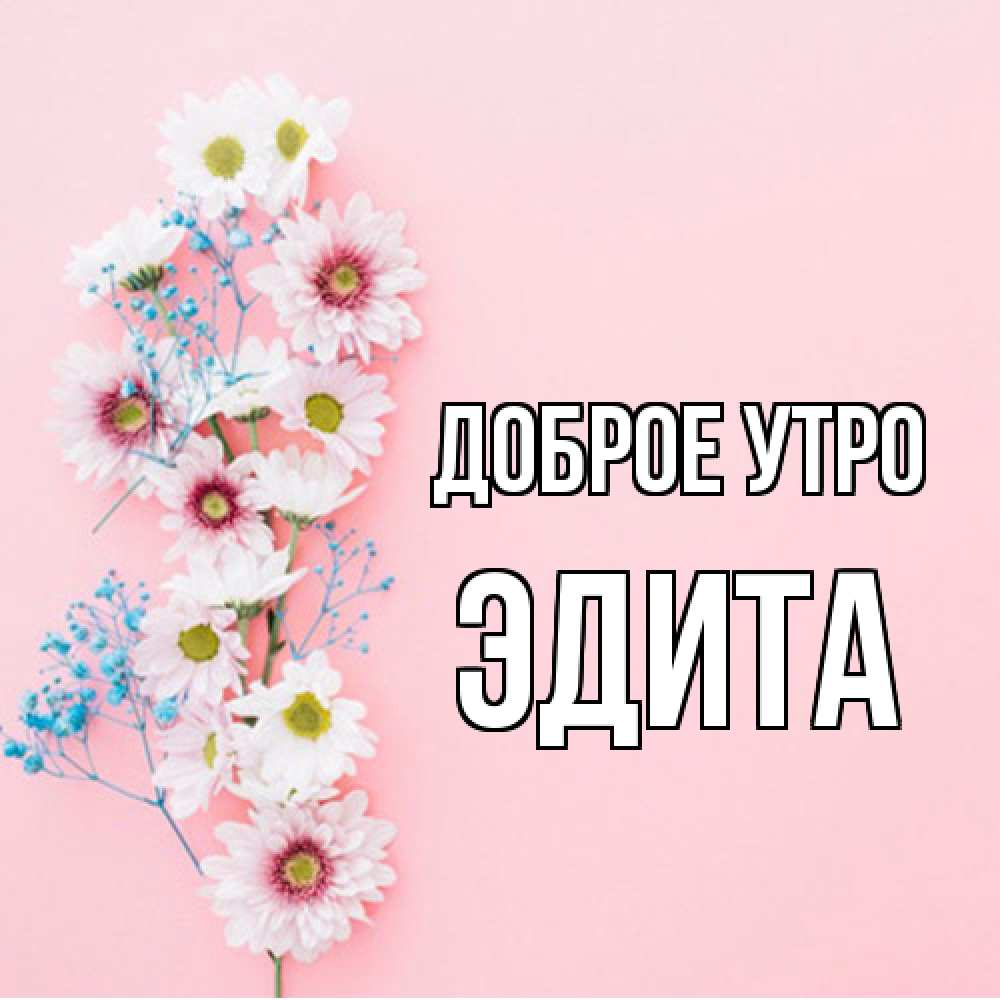 Открытка на каждый день с именем, Эдита Доброе утро цветы с подписью Прикольная открытка с пожеланием онлайн скачать бесплатно 