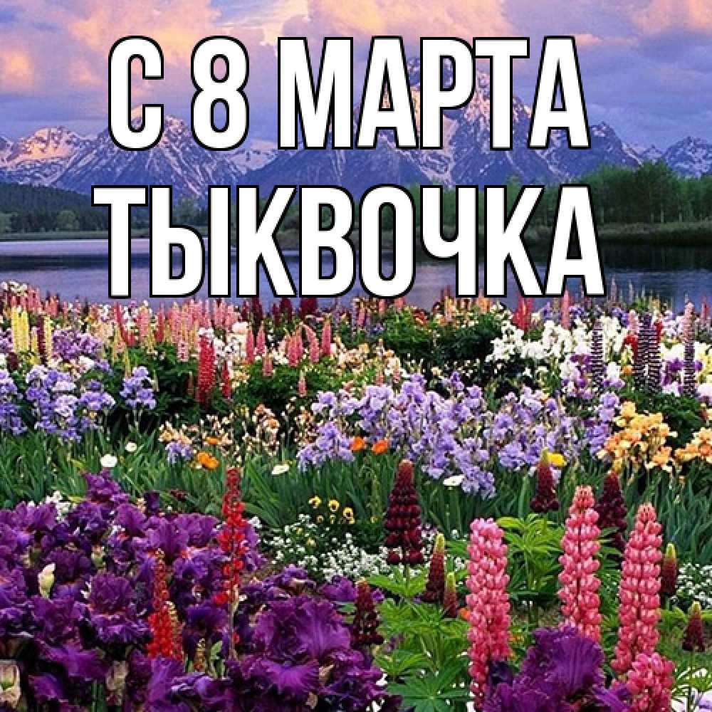 Открытка на каждый день с именем, тыквочка C 8 МАРТА международный женский день Прикольная открытка с пожеланием онлайн скачать бесплатно 