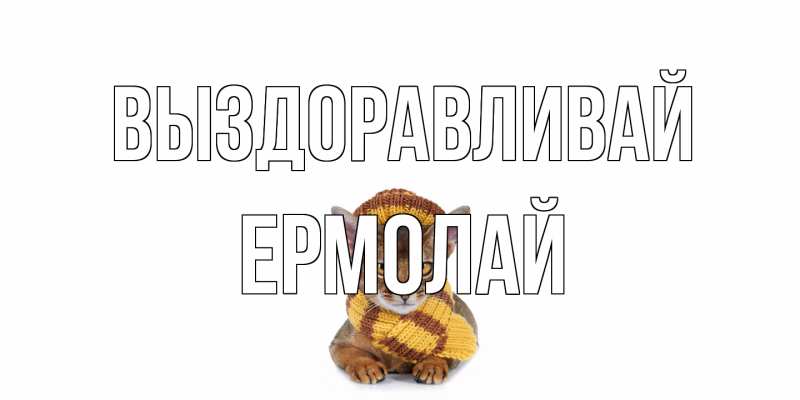 Картинка Выздоравливай, Ермолай