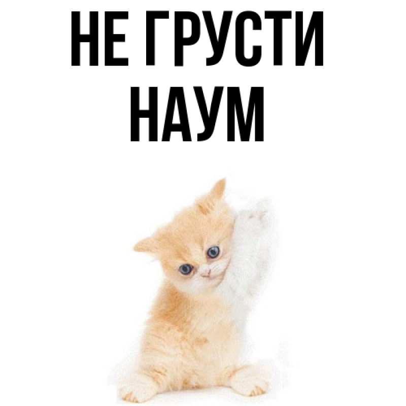 Картинка Не грусти, Наум