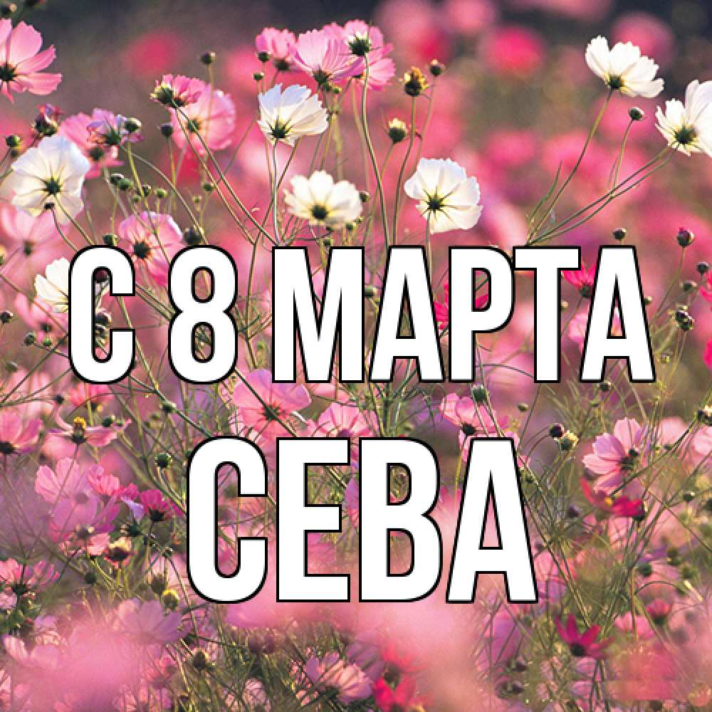 Открытка на каждый день с именем, Сева C 8 МАРТА красиво 1 Прикольная открытка с пожеланием онлайн скачать бесплатно 