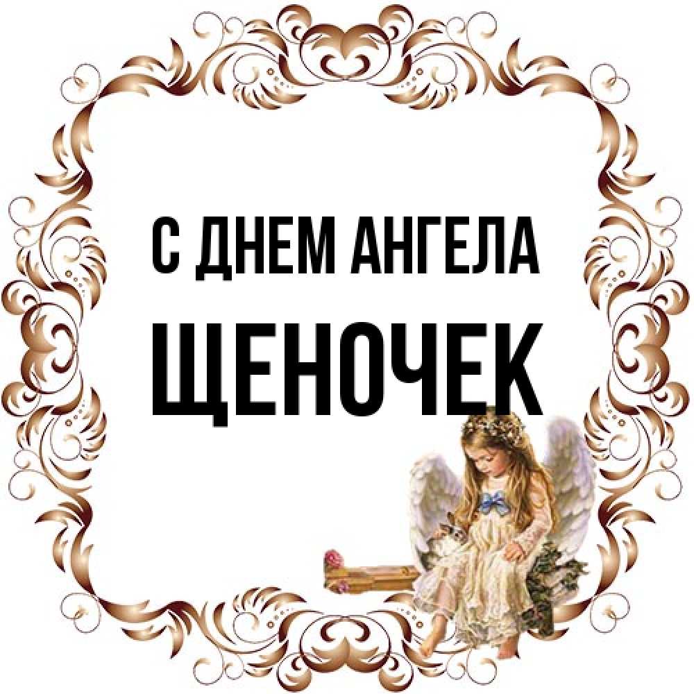 Открытка на каждый день с именем, Щеночек С днем ангела рамочка из перьев и ангелочек Прикольная открытка с пожеланием онлайн скачать бесплатно 
