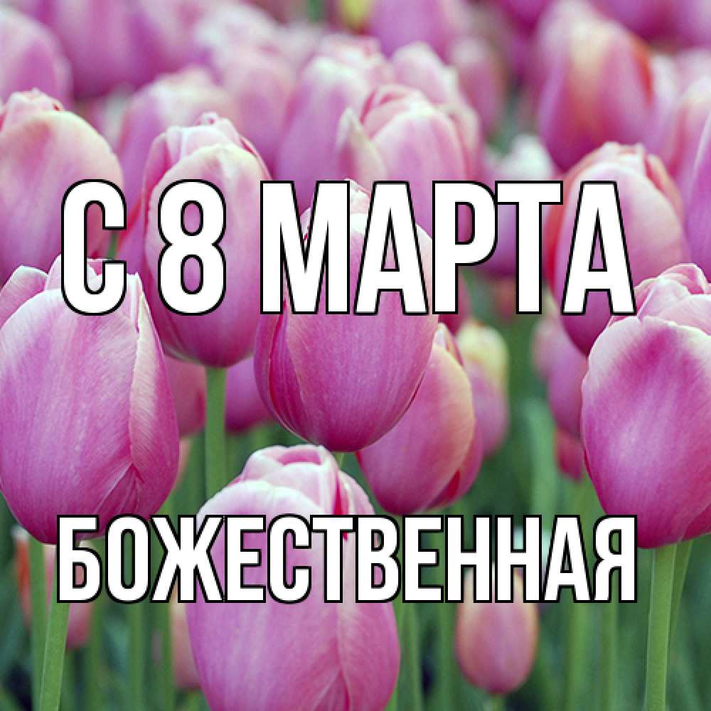 Открытка на каждый день с именем, божественная C 8 МАРТА на международный женский день 3 Прикольная открытка с пожеланием онлайн скачать бесплатно 