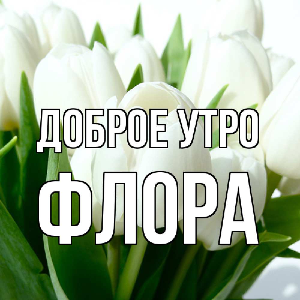 Открытка на каждый день с именем, Флора Доброе утро открытки на каждый день по именам Прикольная открытка с пожеланием онлайн скачать бесплатно 