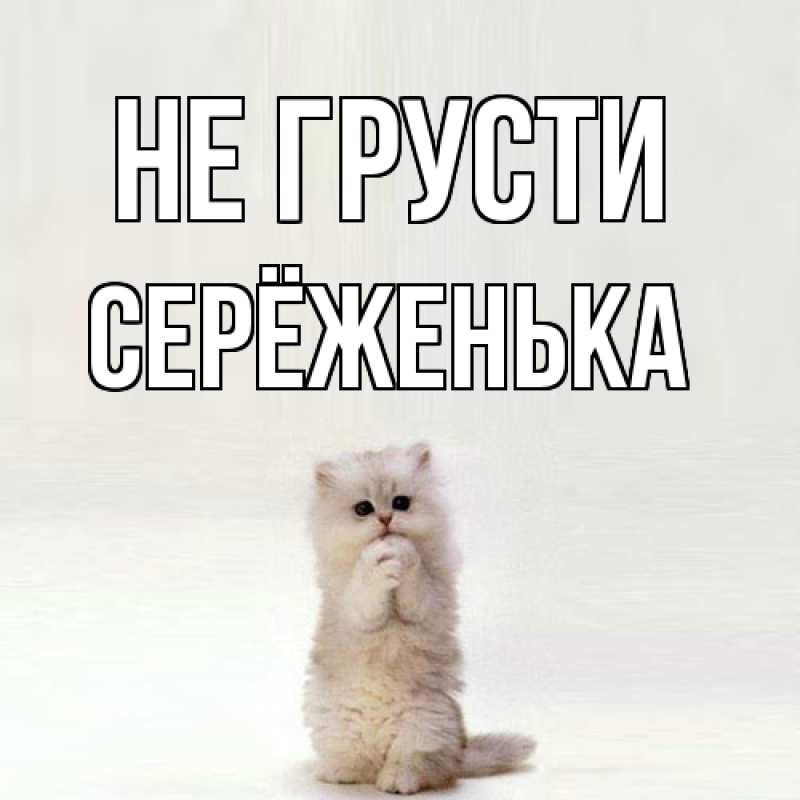 Картинка Не грусти, Серёженька