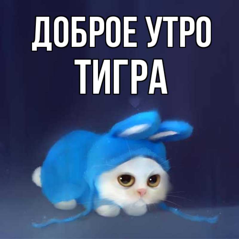 Картинка Доброе утро, Тигpа