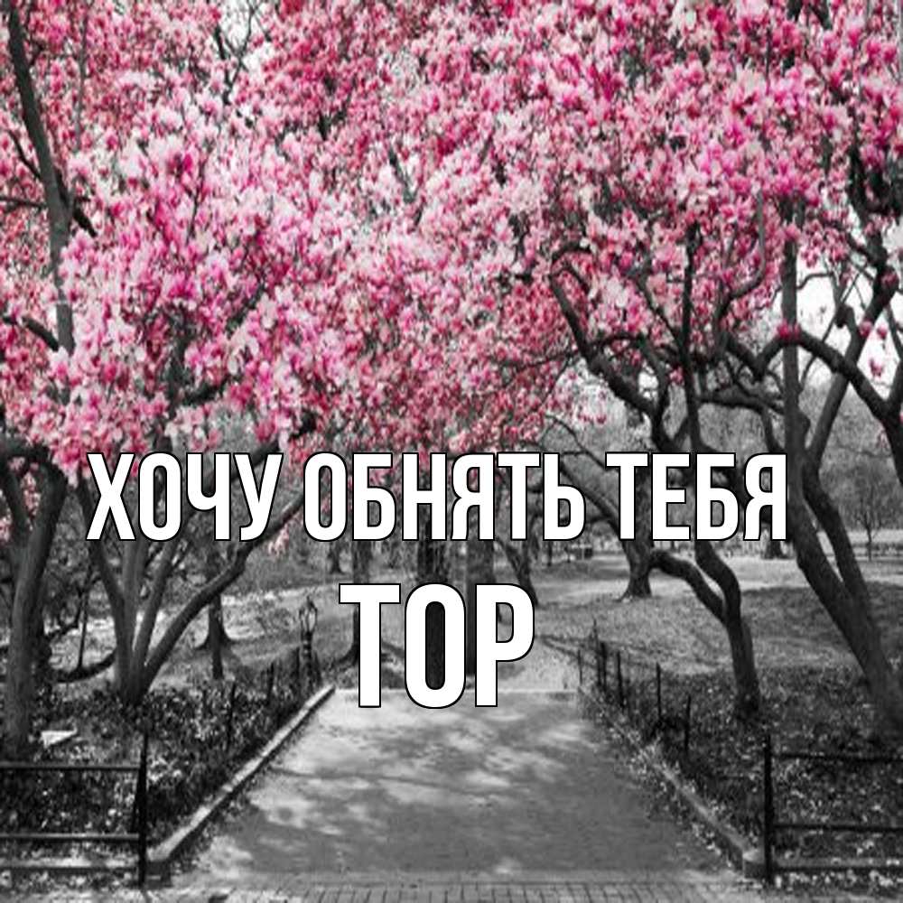 Открытка на каждый день с именем, Тор Хочу обнять тебя обработанное фото Прикольная открытка с пожеланием онлайн скачать бесплатно 