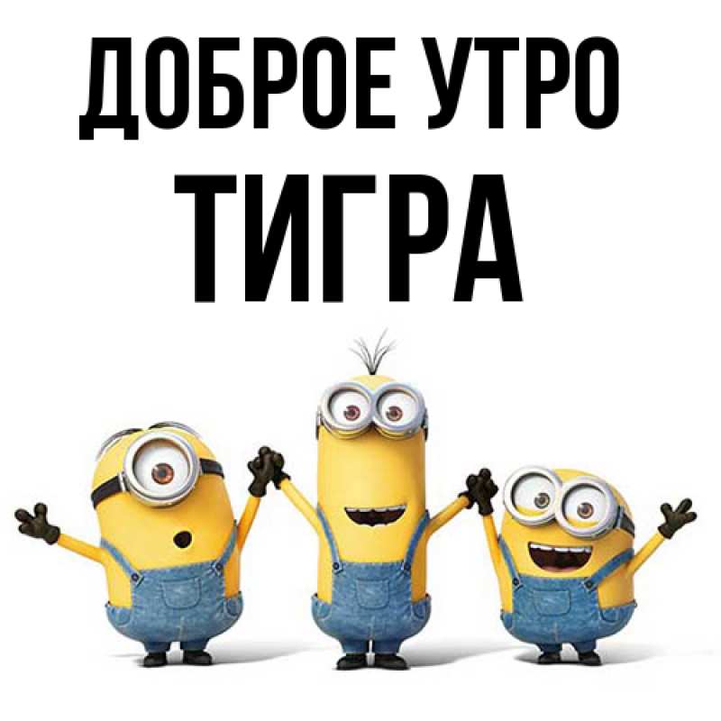 Картинка Доброе утро, Тигpа
