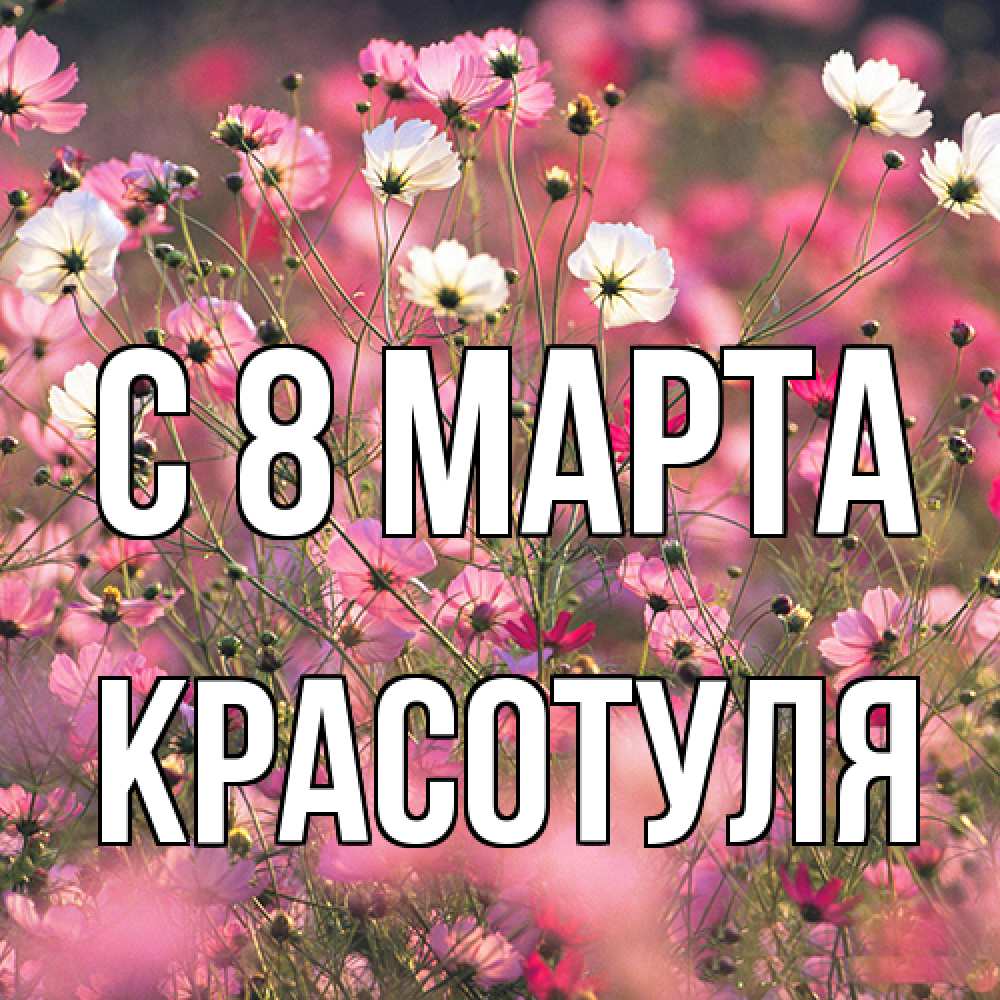 Открытка на каждый день с именем, Красотуля C 8 МАРТА красиво 1 Прикольная открытка с пожеланием онлайн скачать бесплатно 