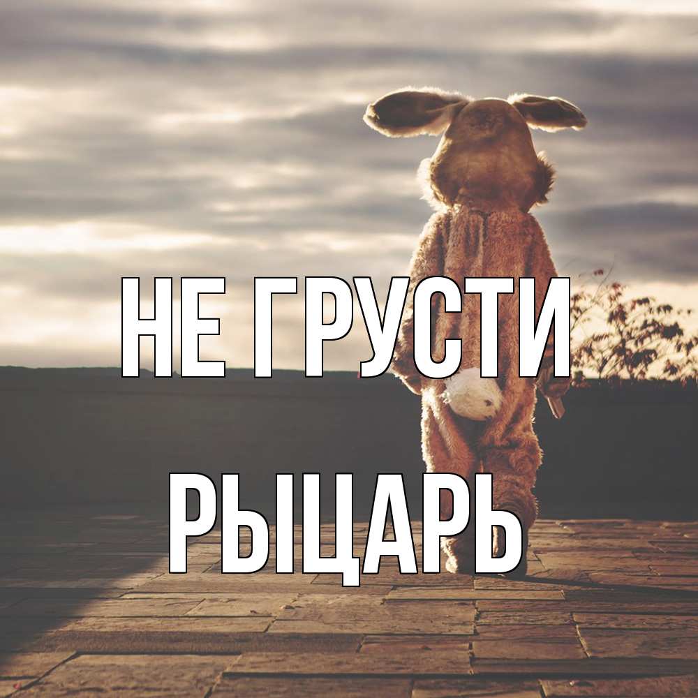 Открытка на каждый день с именем, Рыцарь Не грусти со спины Прикольная открытка с пожеланием онлайн скачать бесплатно 