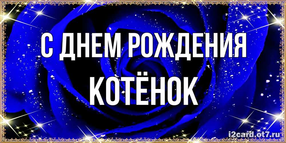 Открытка на каждый день с именем, Котёнок С днем рождения голубые цветы в росе Прикольная открытка с пожеланием онлайн скачать бесплатно 