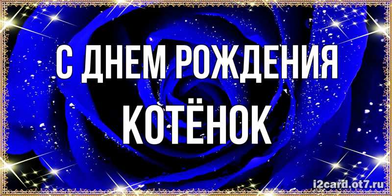 Картинка С днем рождения, Котёнок