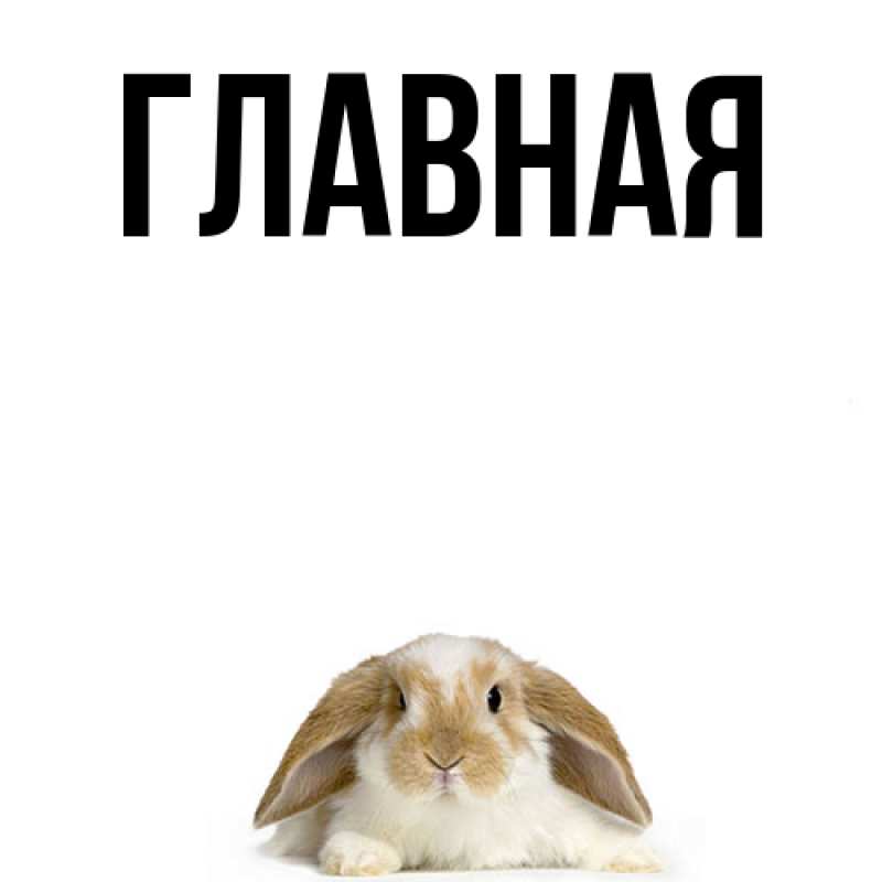 Картинка  с именем , настя