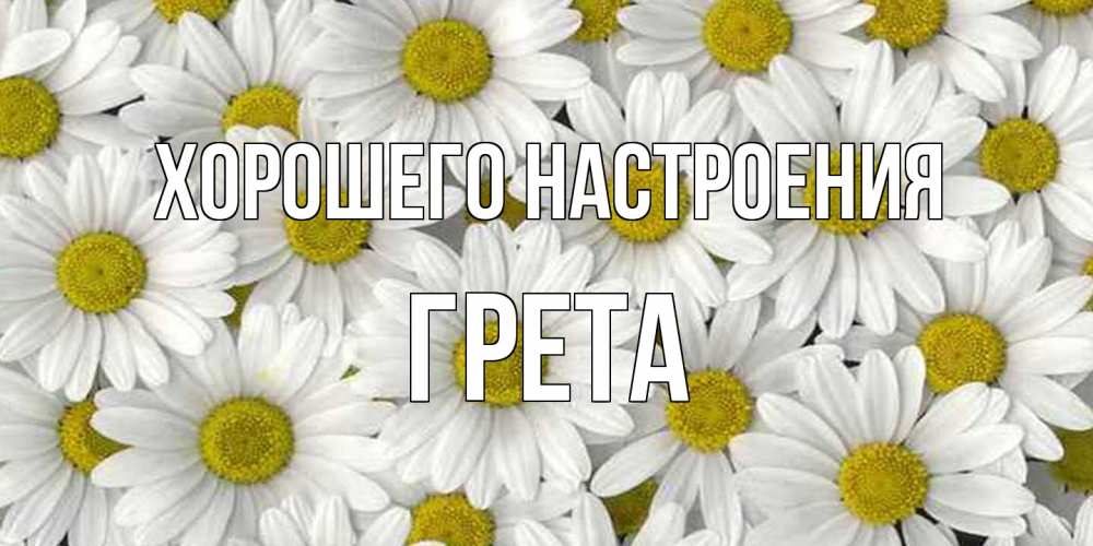 Открытка на каждый день с именем, Грета Хорошего настроения поляна ромашек Прикольная открытка с пожеланием онлайн скачать бесплатно 