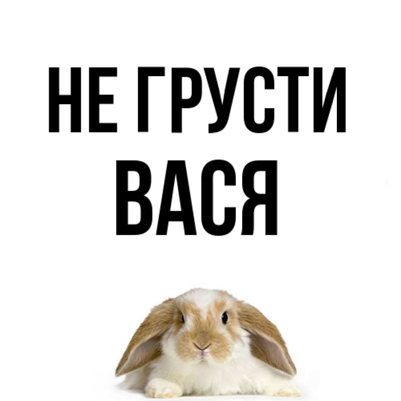 Картинка Не грусти, Вася