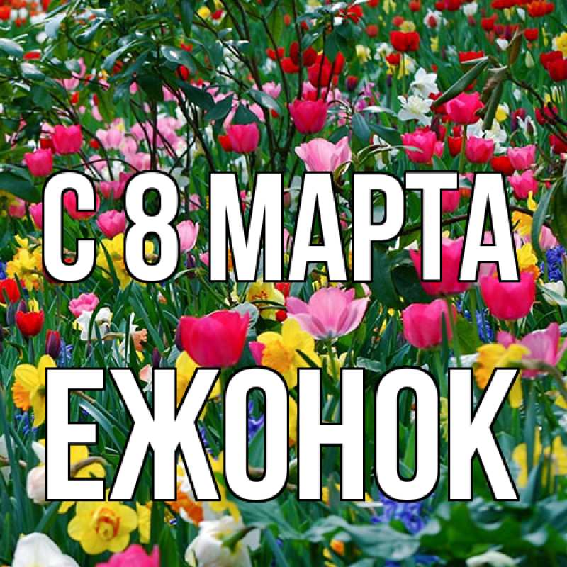 Картинка C 8 МАРТА, Ежонок