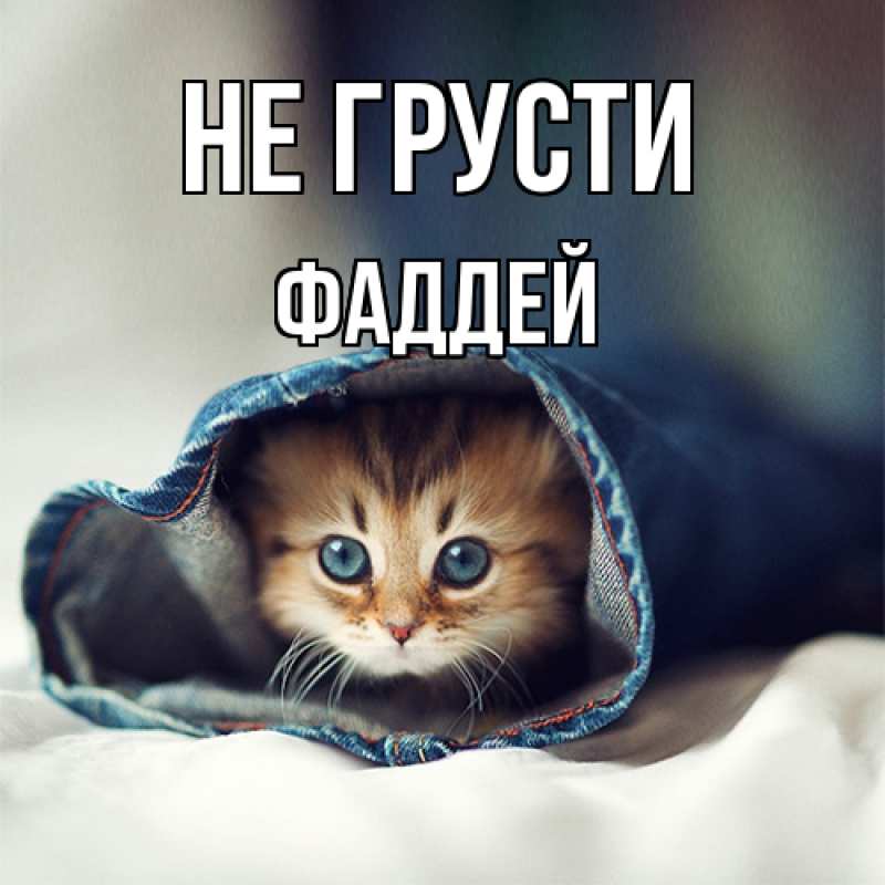 Картинка Не грусти, Фаддей