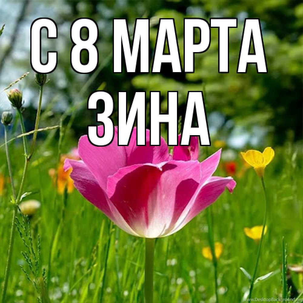 Открытка на каждый день с именем, Зина C 8 МАРТА полевые цветы Прикольная открытка с пожеланием онлайн скачать бесплатно 