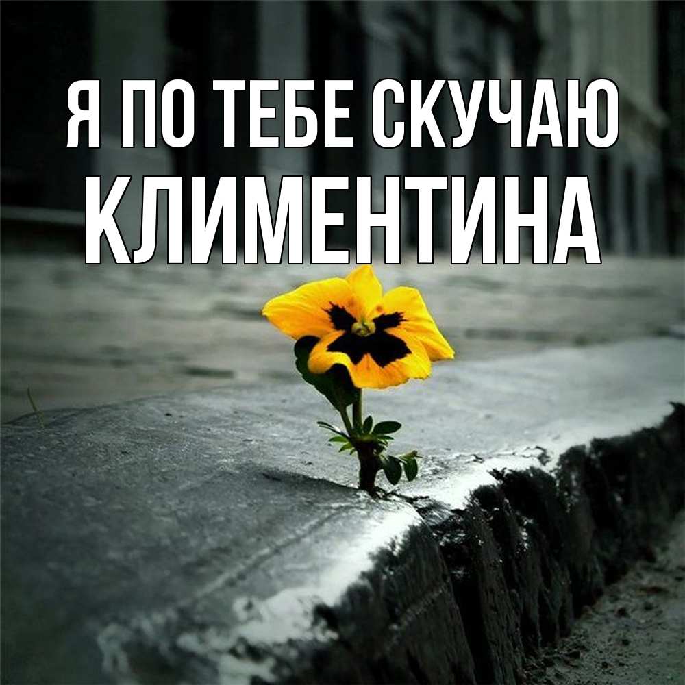 Открытка на каждый день с именем, Климентина Я по тебе скучаю надеюсь будет лучше Прикольная открытка с пожеланием онлайн скачать бесплатно 