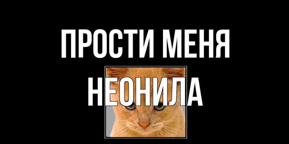 Открытка на каждый день с именем, Неонила Прости меня рыжий грустный кот просит прощения Прикольная открытка с пожеланием онлайн скачать бесплатно 