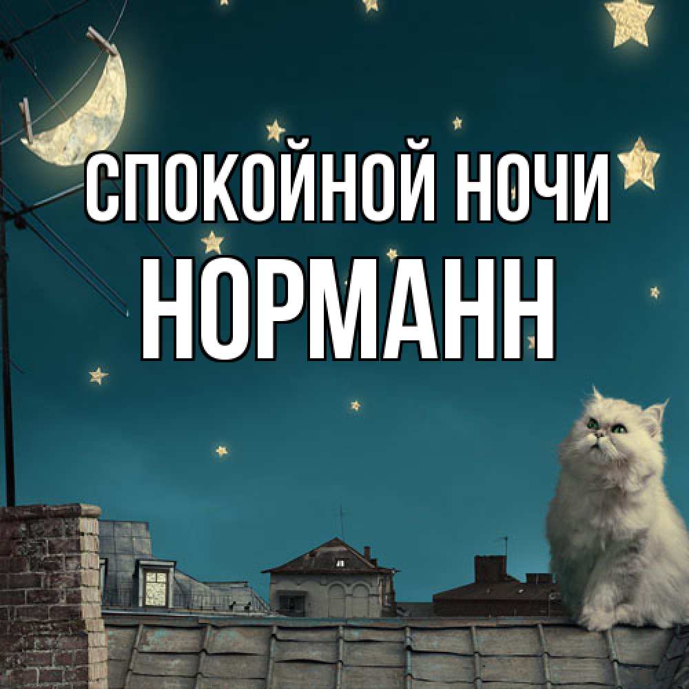 Открытка на каждый день с именем, Норманн Спокойной ночи белый кот сидит на крыше Прикольная открытка с пожеланием онлайн скачать бесплатно 