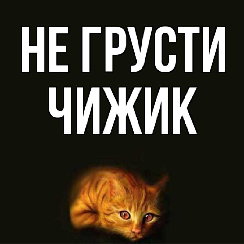 Картинка Не грусти, Чижик