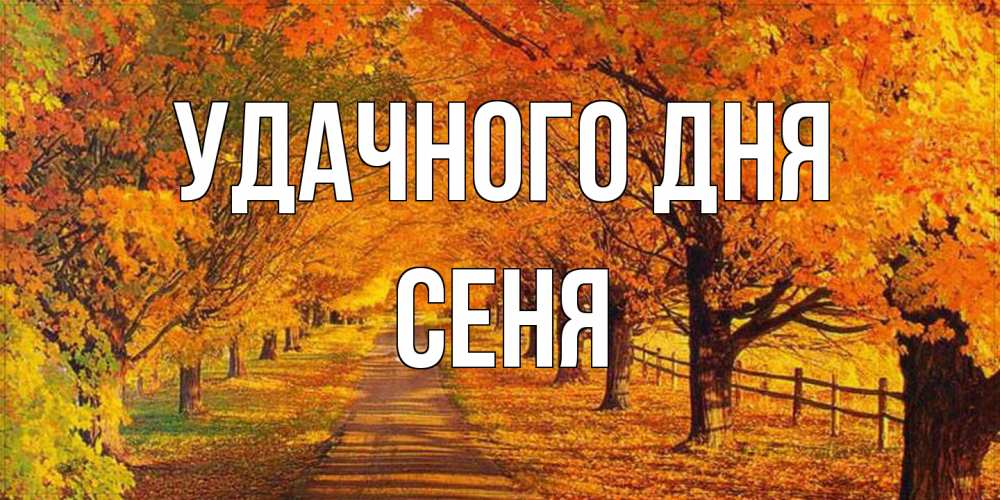 Открытка на каждый день с именем, Сеня Удачного дня деревья с осенними листьями Прикольная открытка с пожеланием онлайн скачать бесплатно 