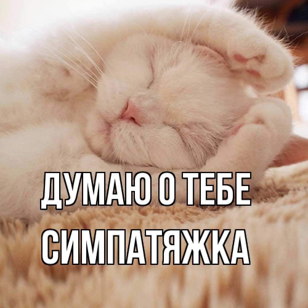 Открытка на каждый день с именем, Симпатяжка Думаю о тебе для любимой девушки милота Прикольная открытка с пожеланием онлайн скачать бесплатно 