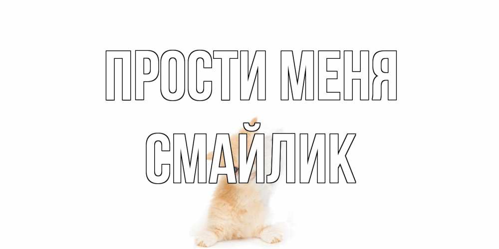 Открытка на каждый день с именем, Смайлик Прости меня кот Прикольная открытка с пожеланием онлайн скачать бесплатно 