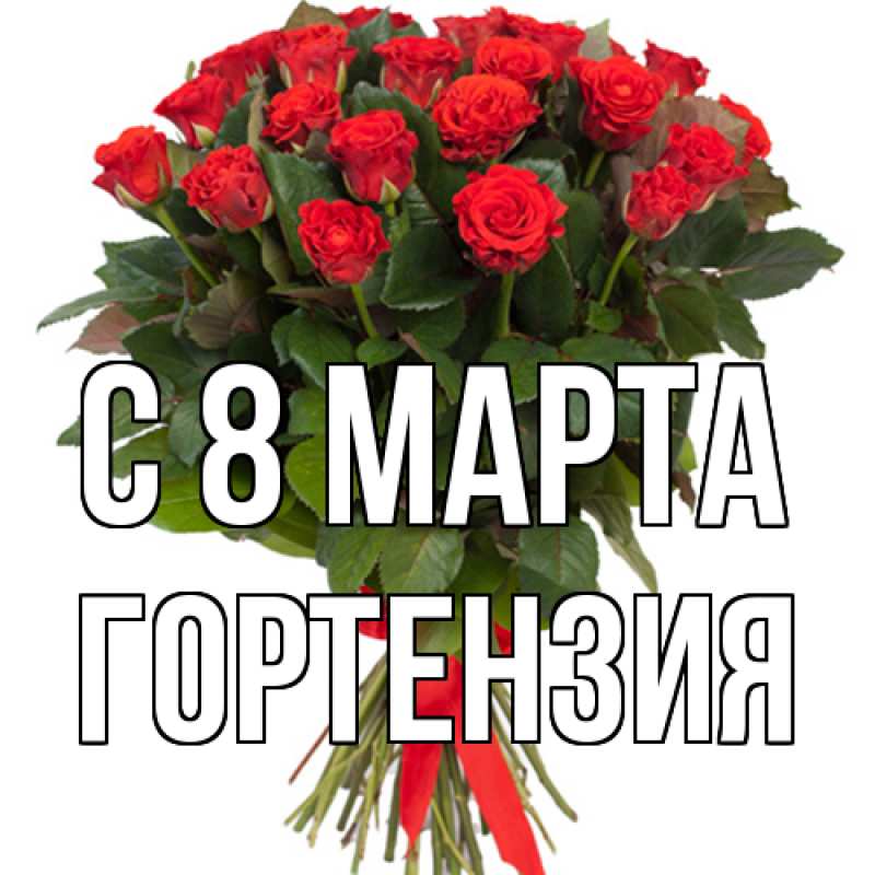 Картинка C 8 МАРТА, Гортензия