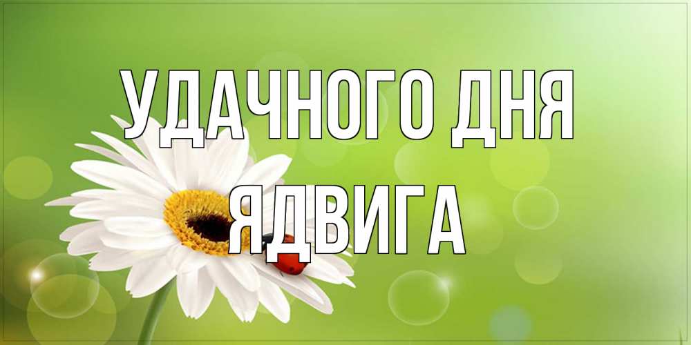 Открытка на каждый день с именем, Ядвига Удачного дня зеленый фон и ромашка Прикольная открытка с пожеланием онлайн скачать бесплатно 