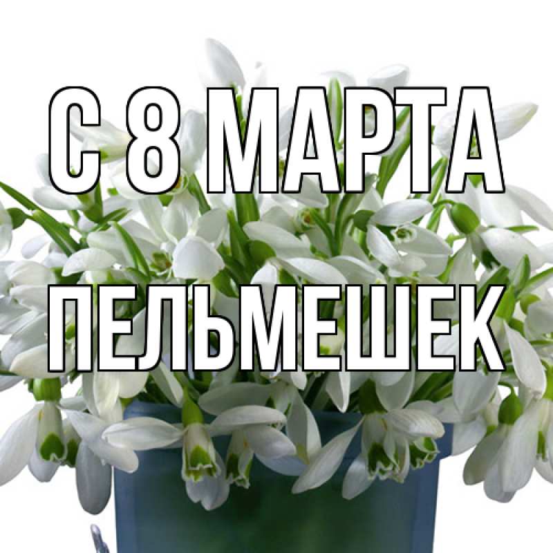 Картинка C 8 МАРТА, пельмешек