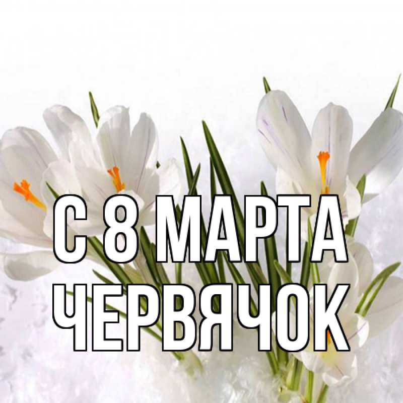 Картинка C 8 МАРТА, Червячок