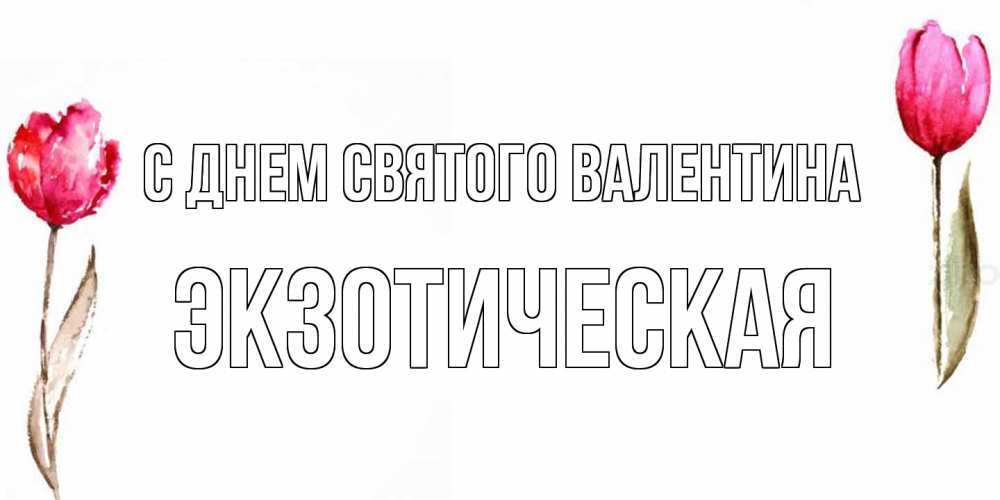 Открытка на каждый день с именем, Экзотическая С днем Святого Валентина Открытки на день всех влюбленных с тюльпанами акварелью Прикольная открытка с пожеланием онлайн скачать бесплатно 