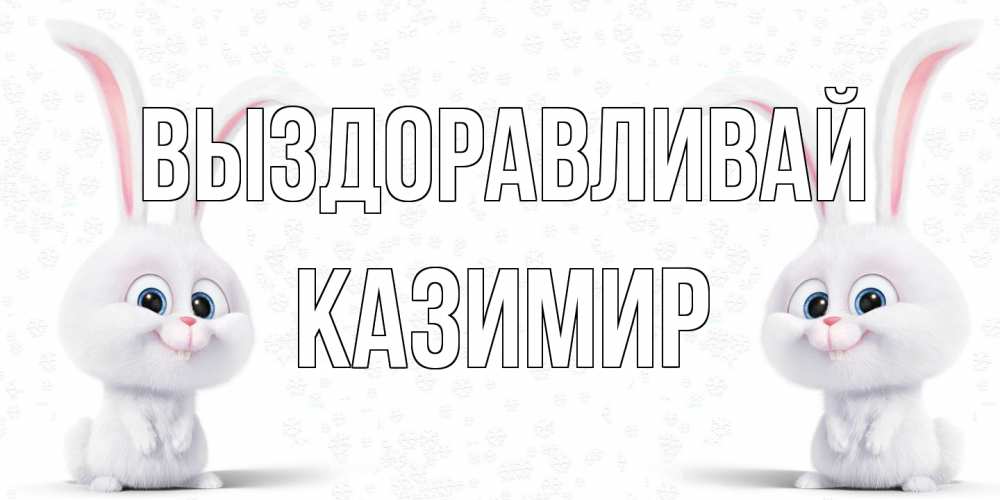 Открытка на каждый день с именем, Казимир Выздоравливай не болей с зайцем Прикольная открытка с пожеланием онлайн скачать бесплатно 